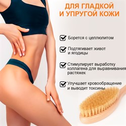 Антицеллюлитная щетка для сухого массажа жесткая CLINIFORCE CF 0201